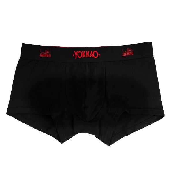Underwear-yokkao-front_600x_edited_edited.jpg
