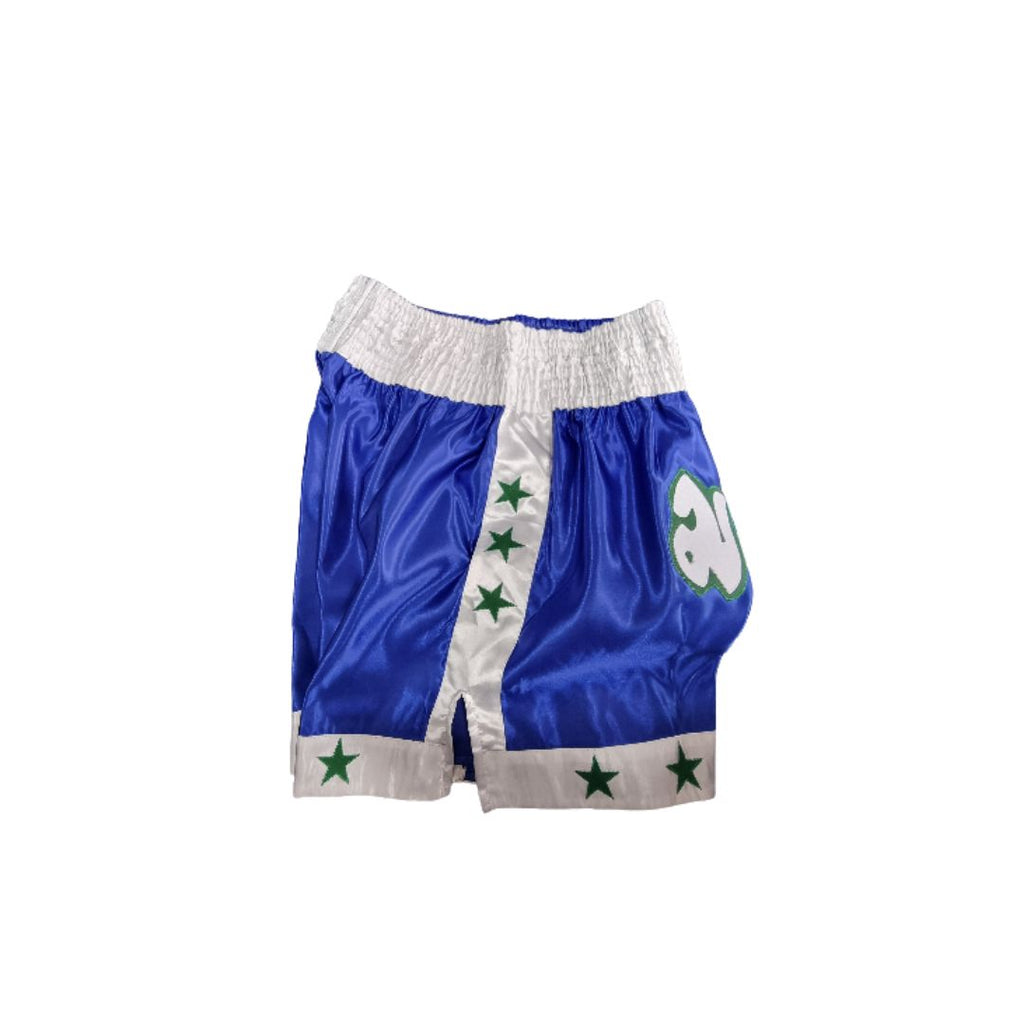 FSNZ Adults Muay Thai Shorts blue 3.jpg