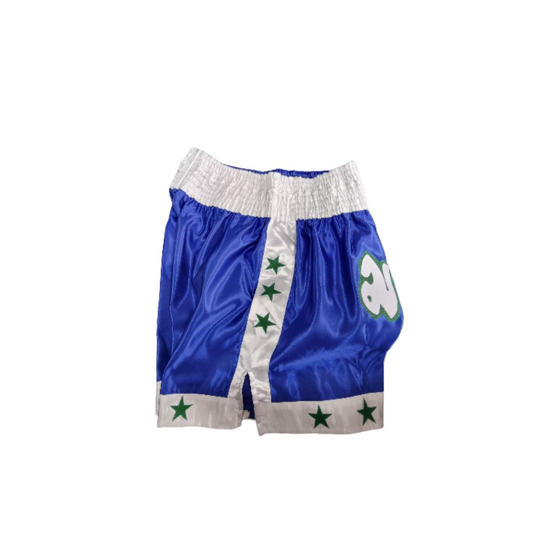FSNZ Adults Muay Thai Shorts blue 3.jpg