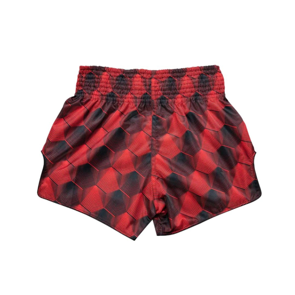 Fairtex Muay Thai Shorts BS1919 2.jpg