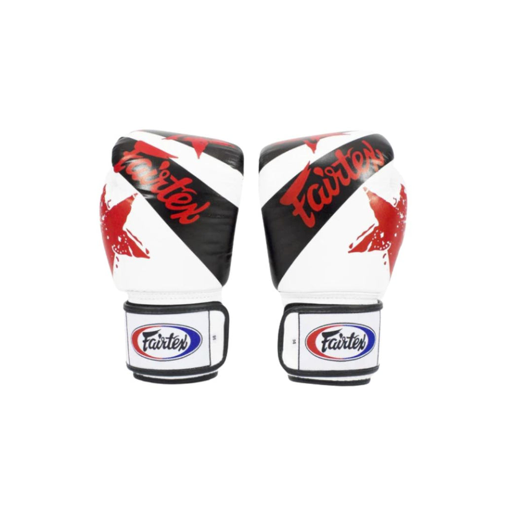 Fairtex Universal Nation Boxing Gloves 10.jpg