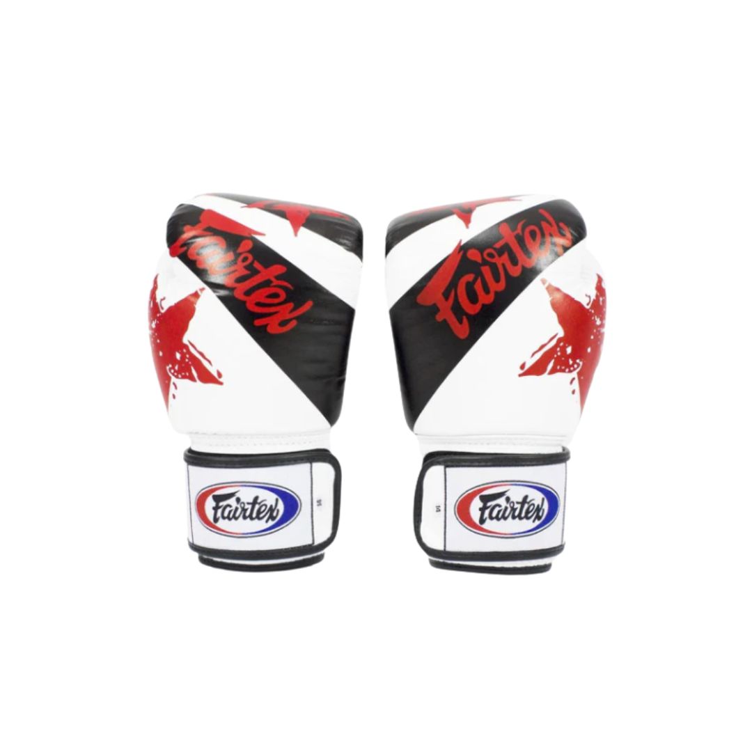 Fairtex Universal Nation Boxing Gloves 10.jpg