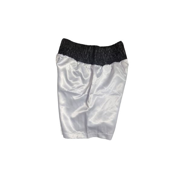 Adidas Boxing Shorts 2.jpg