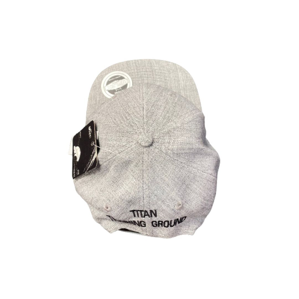 TitanTG SnapBack Cap 4.jpg