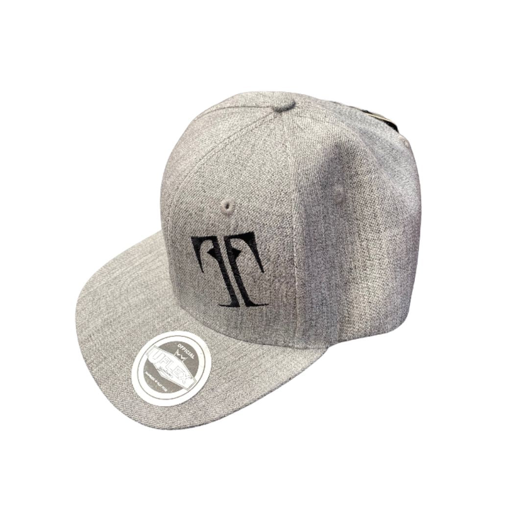 TitanTG SnapBack Cap 2.jpg