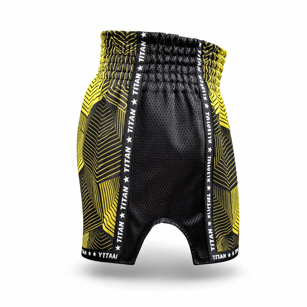 TitanTG Kaleidoscope Muay Thai Shorts 8.jpg