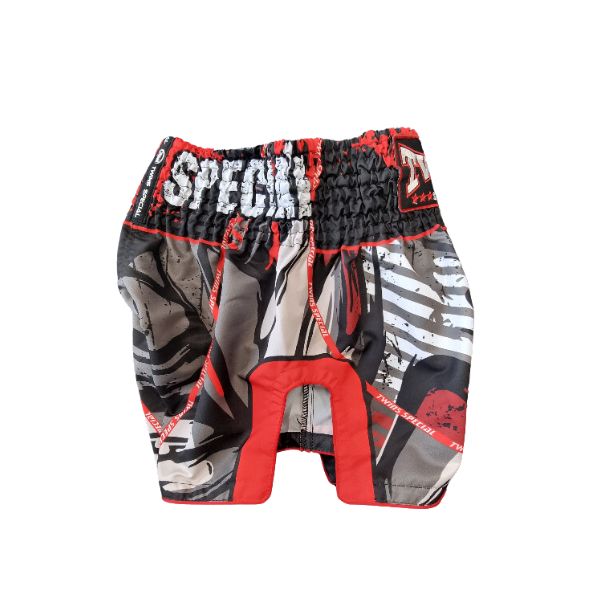 Twins Muay Thai Shorts 3.jpg