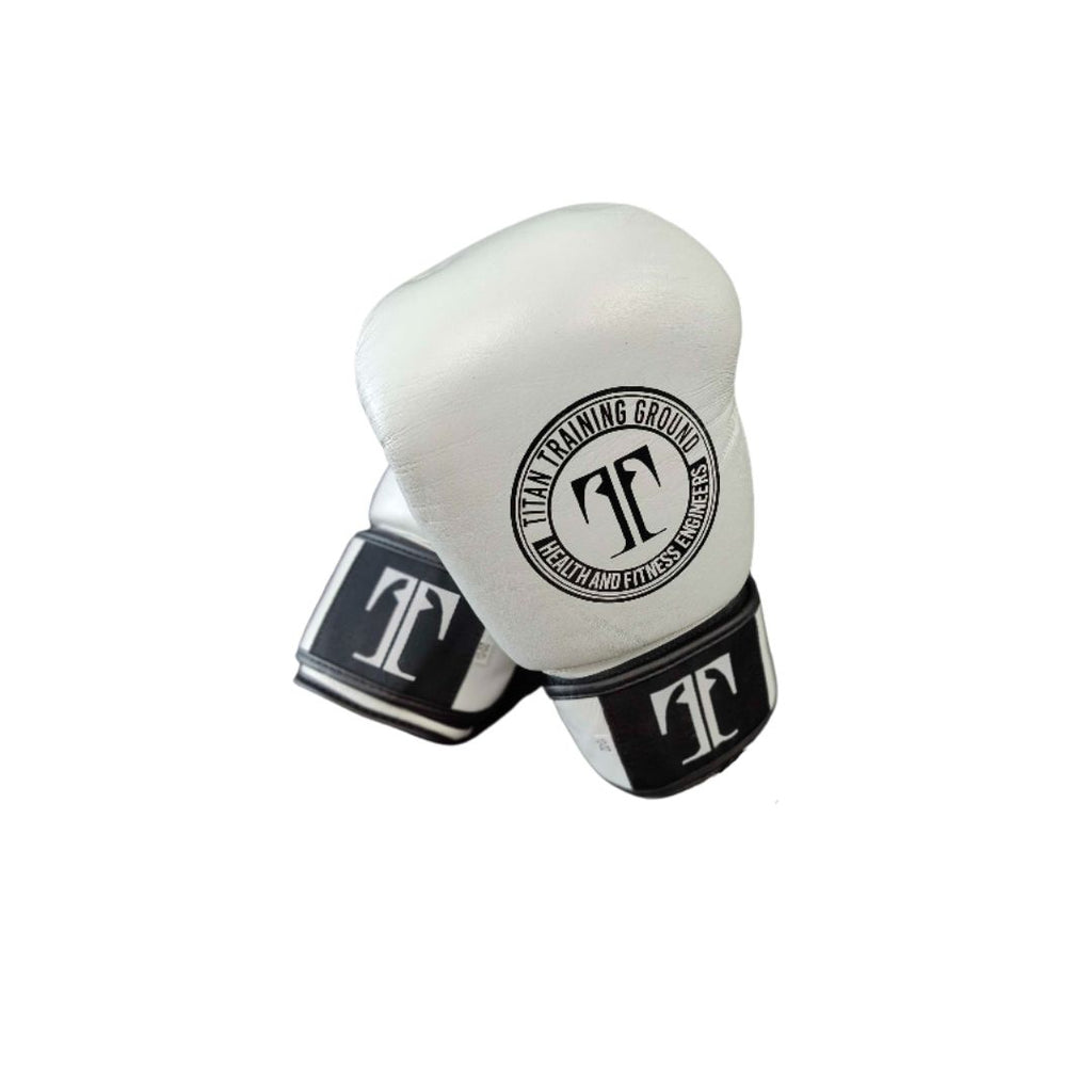 TitanTG Boxing Gloves 3.jpg