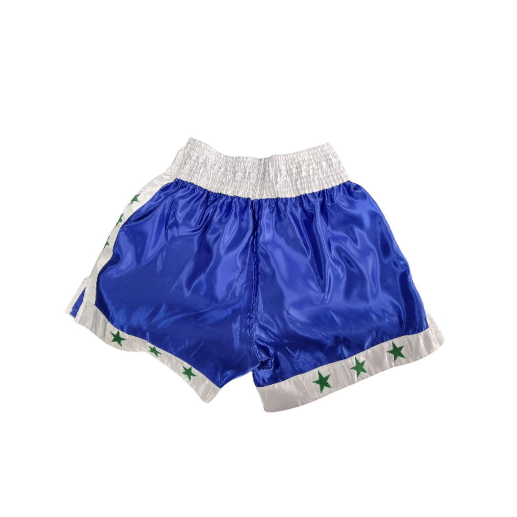 FSNZ Adults Muay Thai Shorts blue 2.jpg