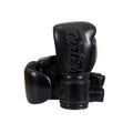 Fairtex Boxing gloves Microfiber BGV14 SB.jpg