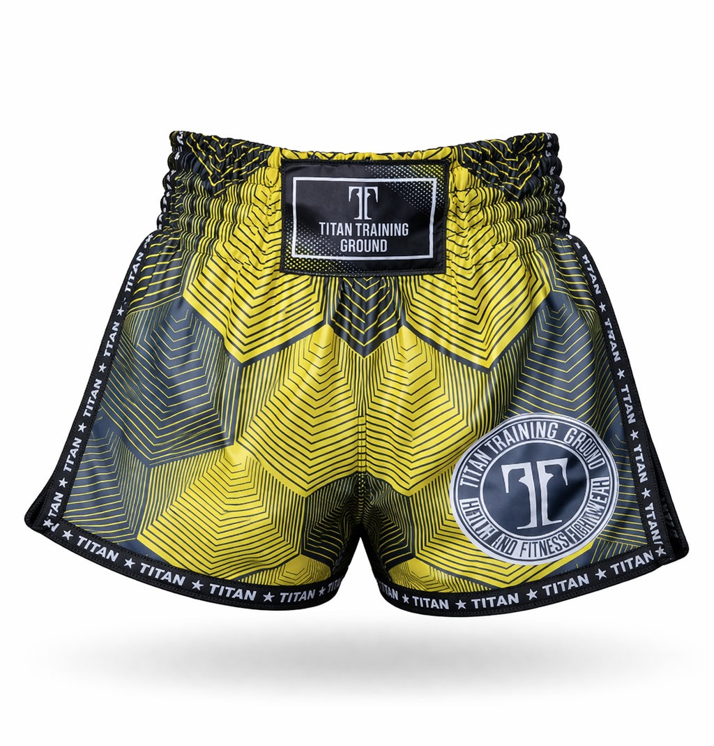TitanTG Kaleidoscope Muay Thai Shorts 3.jpg