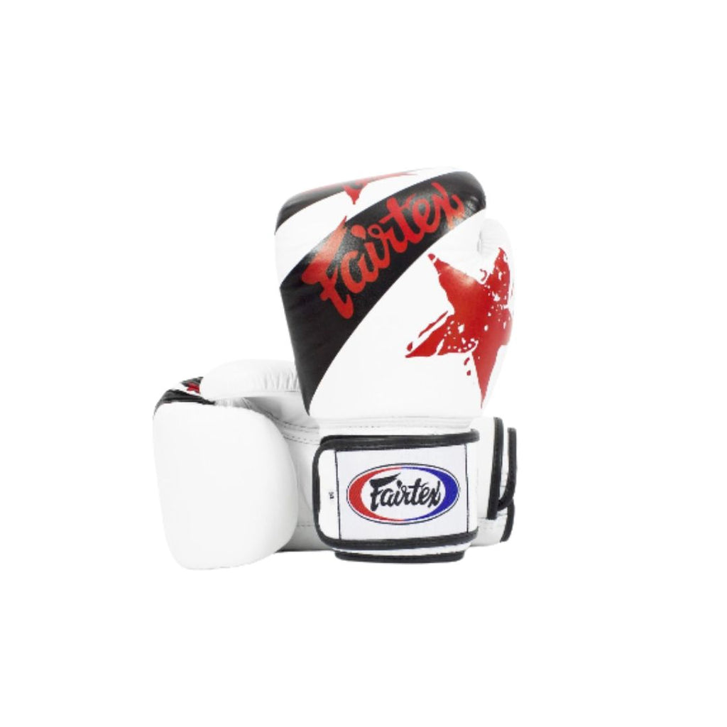 Fairtex Universal Nation Boxing Gloves 9.jpg