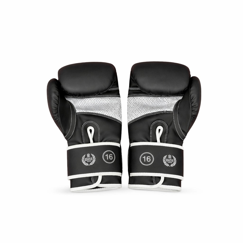 Invicto-Co Falcon Ascending Boxing Gloves 2.jpg