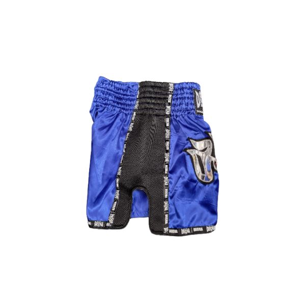 Decha Shorts Blue 3.jpg