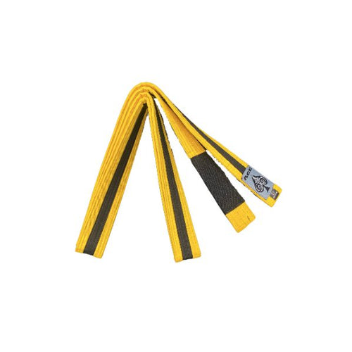 Ace Kids BJJ Belts 2.jpg