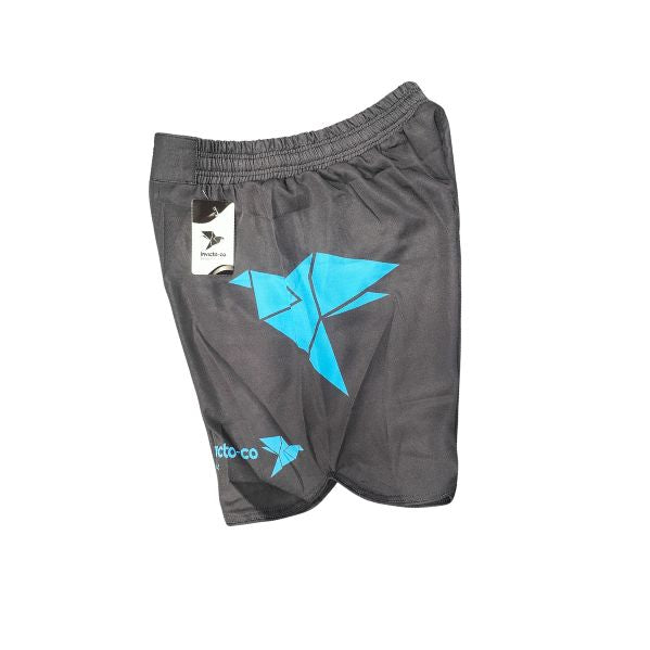 Invicto-Co Aeroflare MMA Shorts 2.jpg