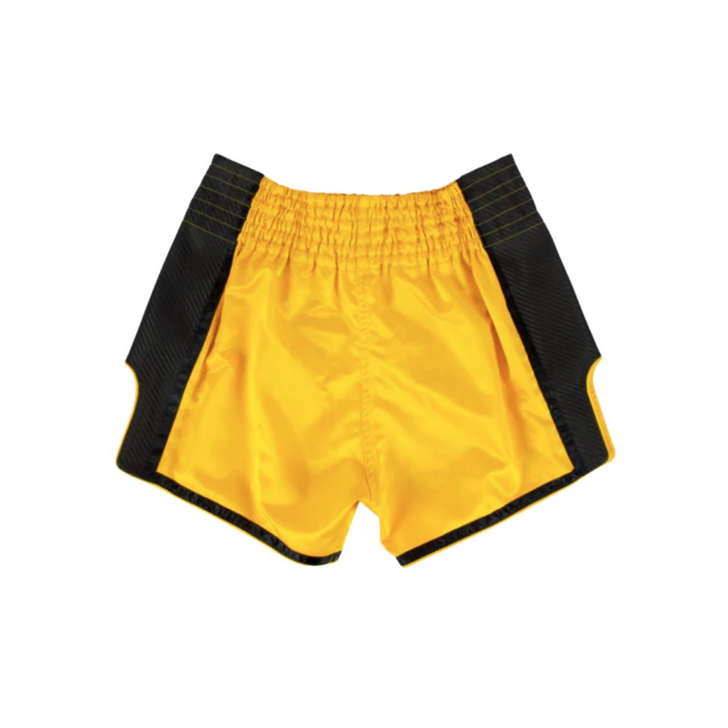 Fairtex Muay Thai Shorts BS1701 2.jpg