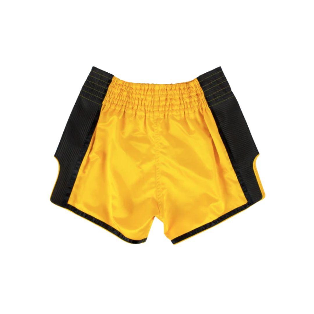 Fairtex Muay Thai Shorts BS1701 2.jpg