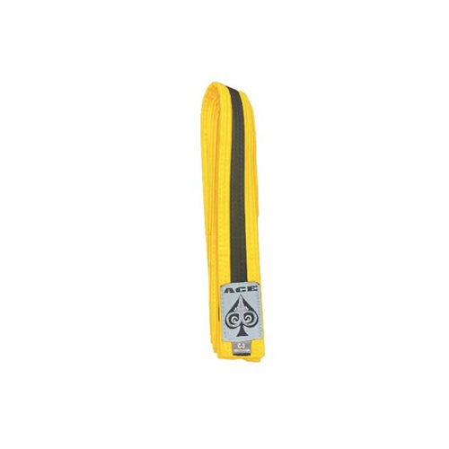 Ace Kids BJJ Belts.jpg